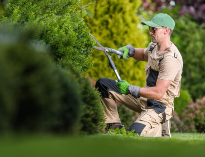 lawn care services