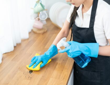 Domestic Cleaning Services